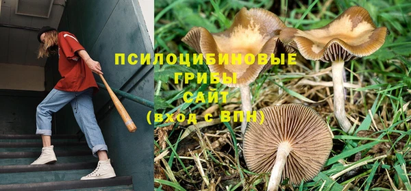 трава Заволжье