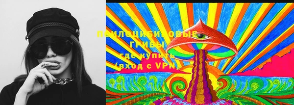 а пвп мука Ельня