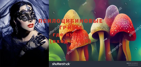 меф Заволжск