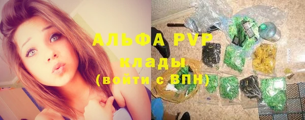 ПСИЛОЦИБИНОВЫЕ ГРИБЫ Елизово