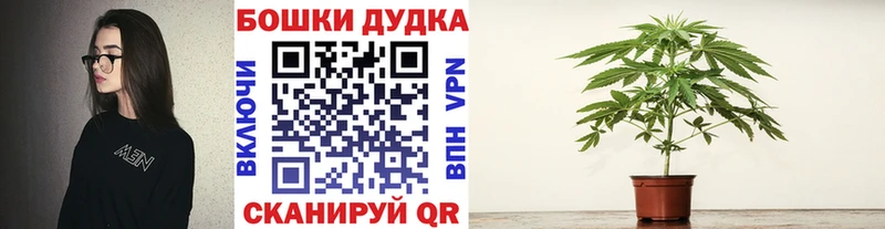 Шишки марихуана AK-47  Купить закладки  Ипатово 